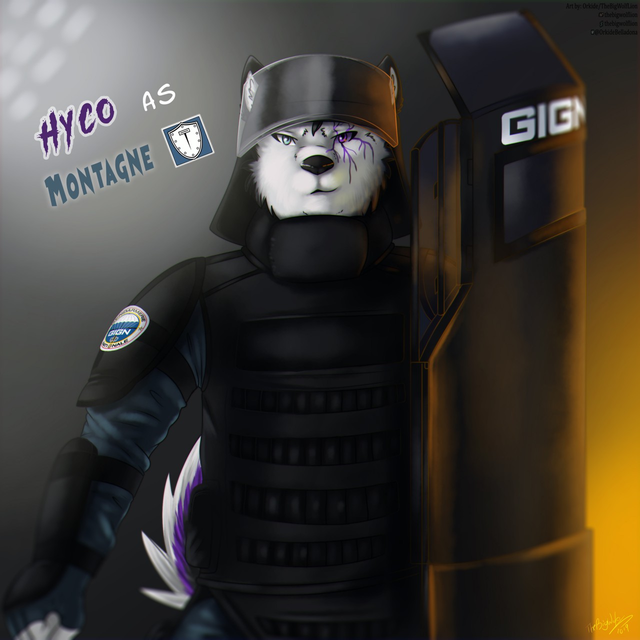 The Montagne